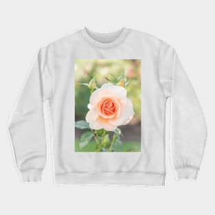 Perfect Pastel Peach Rose Crewneck Sweatshirt